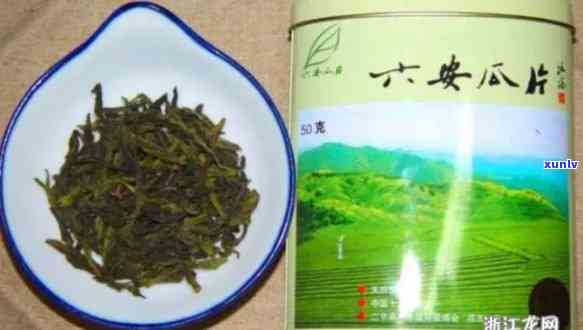 六安瓜片是普洱茶吗