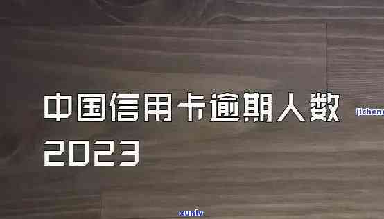 '全国信用卡逾期多少亿2023年：统计数据揭示的惊人数字'