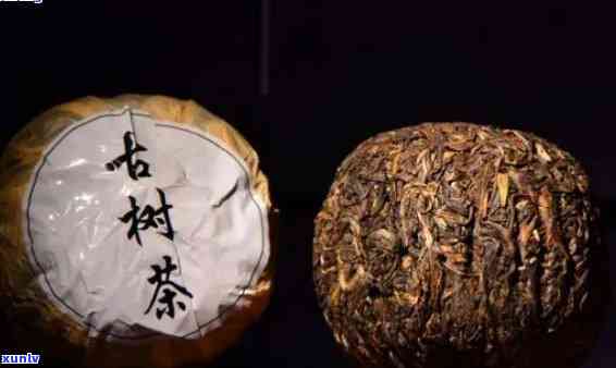 麻河古茶林普洱茶：口感细腻，独特魅力尽显