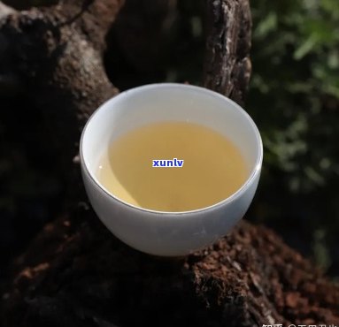 麻河古茶林普洱茶：口感细腻，独特魅力尽显