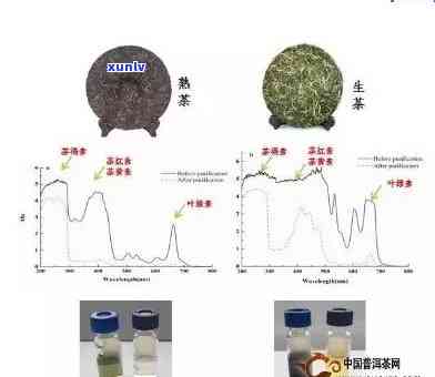 普洱茶中是否含有致癌物质？能否安全饮用？让我们一起探讨真相！