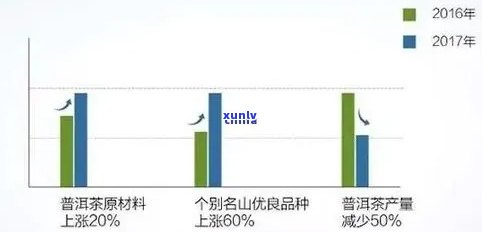 普洱茶中新发现的致癌物质解析：最新研究进展