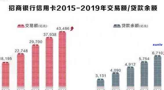 2023年上半年中国信用卡逾期现象分析：数据、金额与趋势探讨