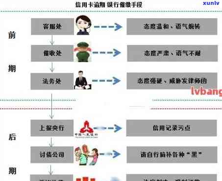 信用卡还款管理技巧：如何设定逾期还款顺序