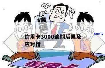 信用卡逾期3000元的法律风险与解决方案