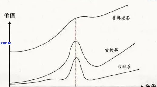 普洱茶五年价格变化及其品质影响因素全面解析