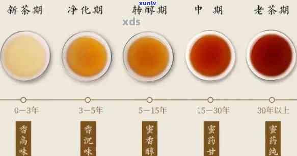 五年普洱茶：品饮心得、保存 *** 与陈化趋势解析