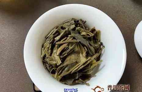 普洱茶小白菜大白菜哪个好？普洱茶中的这两者的区别与由来解析