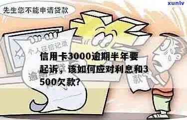 关于信用卡欠款3000多元逾期未还，户地法院开庭审理流程及注意事项