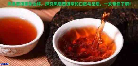 风号普洱茶：品质与口感如何？红茶表现如何？