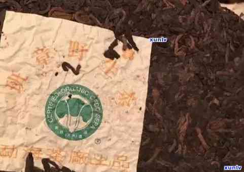 2004年珍藏级普洱茶精品白菜：品质、产地、口感与收藏价值全面解析