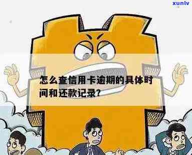 怎么查信用卡逾期具体时间地点和多久还款记录？