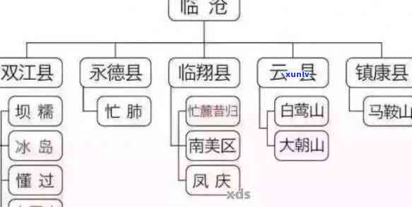 云南五大顶级普洱茶完整排名：了解各地区特色茶叶，挑选最适合你的那一款