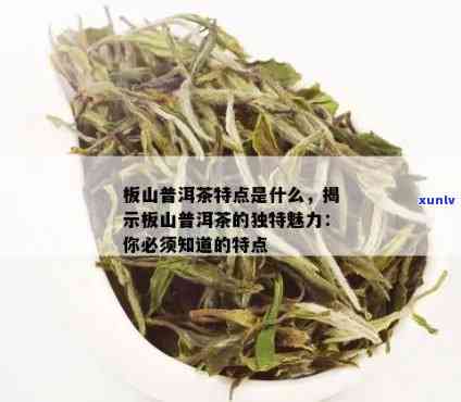 板山普洱茶特点是什么：探究普洱茶独特魅力