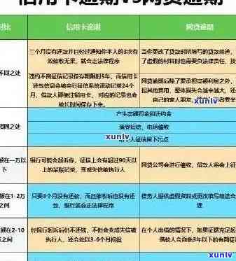 掌握信用卡逾期查询技巧，提升信用管理水平