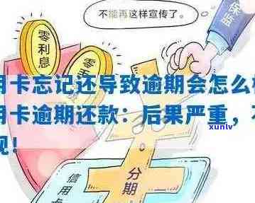 逾期信用卡还款困难：忘记账号如何处理？