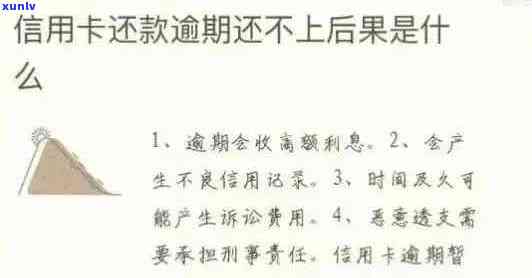 信用卡逾期还款全攻略：无账号情况下的解决 *** 与注意事项