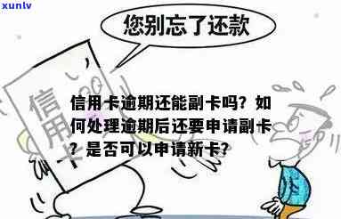 辞职后如何有效管理信用卡逾期还款及申请新卡的全攻略