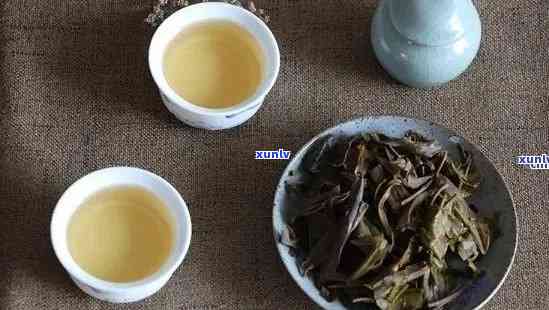 普洱茶饼的冲泡次数与生茶的品质有关，你知道能喝几泡吗？