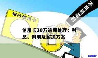 欠三家银行信用卡逾期20万：处理策略与可能后果