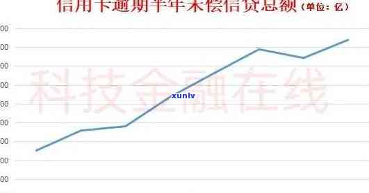 2020年全国信用卡逾期还款解析与应对策略