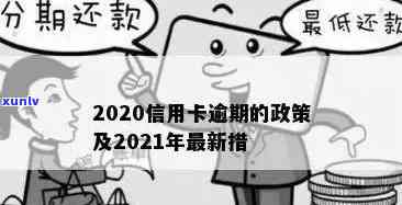 2020年全国信用卡逾期还款解析与应对策略