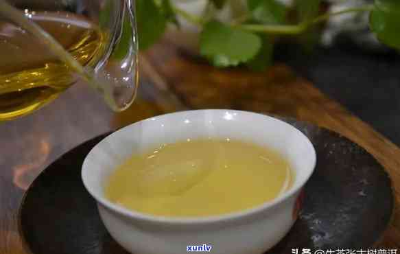 普洱茶出现酸味：原因、处理方式及是否适合饮用