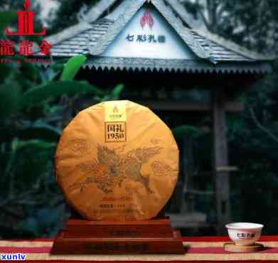 七彩雀普洱茶国礼1950:品种特点、 *** 工艺与品饮体验的全方位解析