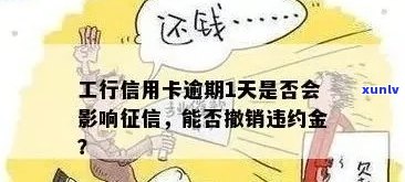 工行信用卡逾期一天的违约金计算方式及影响：详细解析与建议