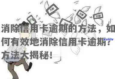 信用卡逾期后多久能够解除暂停使用状态并恢复正常信用？