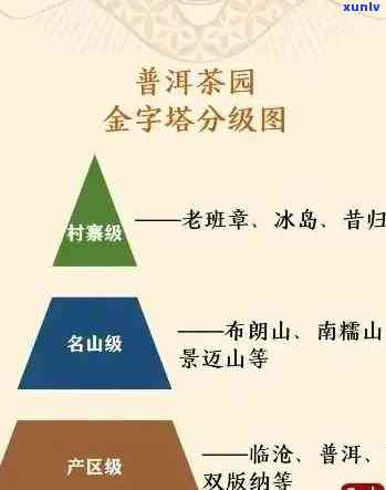 普洱茶一类二类区别及价格原因，能否饮用？