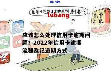 绥阳县信用卡逾期名单及相关流程 - 2022年绥阳县逾期信用卡处理指南