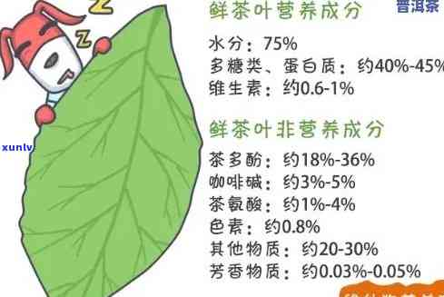 普洱茶含有维生素C吗？：百度百科揭示普洱茶的营养成分真相