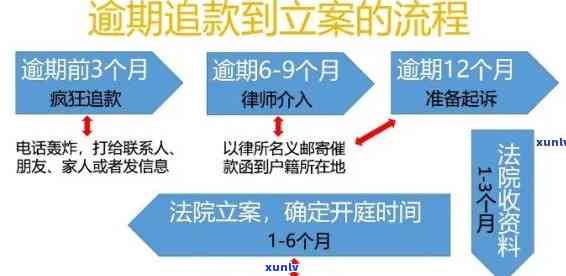 信用卡立案流程详解：如何申诉、处理结果及影响分析