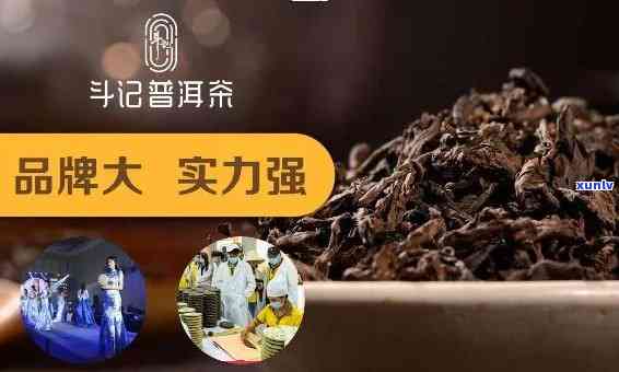 斗记普洱茶好不好喝