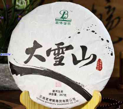 哪个大雪山普洱茶好