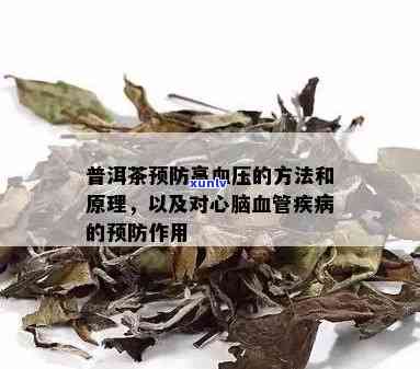 普洱茶的药理作用及其在心脑血管疾病预防中的潜在价值