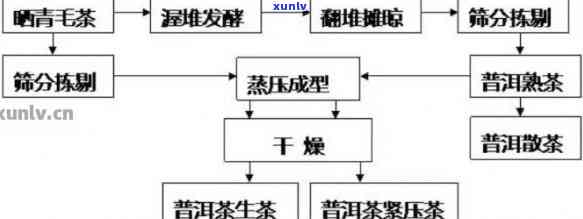 全方位了解普洱茶厂生产的：历、工艺、口感及各类产品的详细介绍