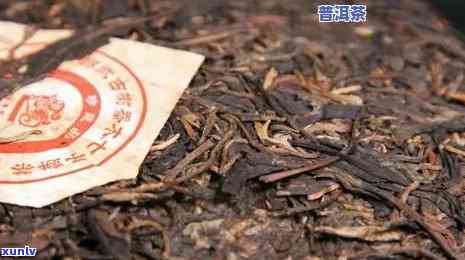 价格高达两万的普洱茶品种大全：万元一斤的十大名茶