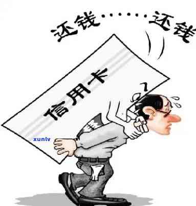 信用卡逾期后，是否仍有分期还款的可能性？