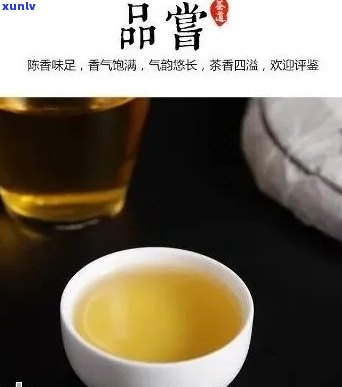 启英普洱茶：一种独特的茶叶品种及其与启英的关联性探讨