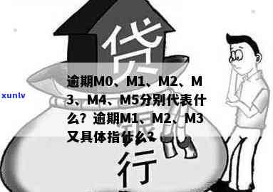 信用卡逾期相关指标解析：m1、m2、m3分别代表什么含义？