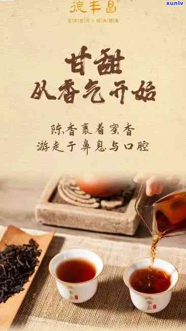 兴顺祥茶：源自顺祥的普洱茶文化体验