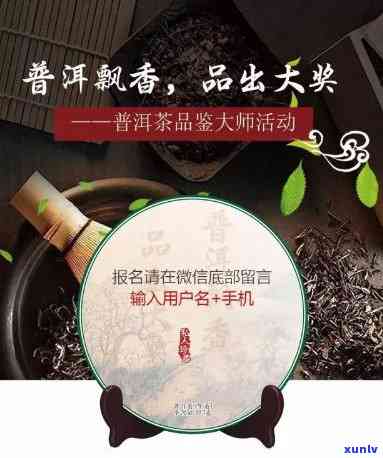 滇润祥普洱茶旗舰店官网：优质普洱茶，品鉴古树韵味