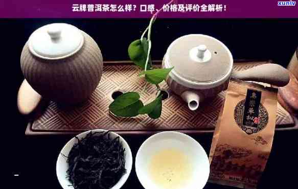 谷润奇普洱茶口感如何？好喝吗？价格是多少？