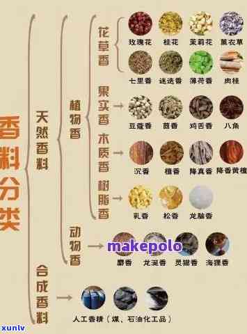 探究普洱茶中的独特八角香料成分及其味道形成原因