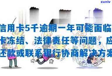 信用卡逾期后果全面解析：信用冻结、利息、法律责任等你关心的问题一网打尽