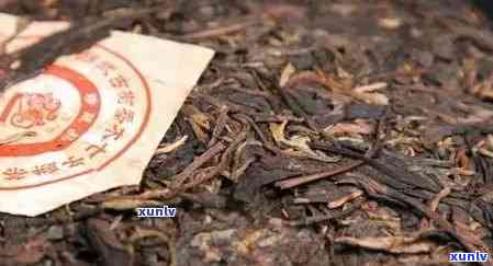 50周年念普洱茶价格查询与价值解析：五十年普洱茶多少钱？