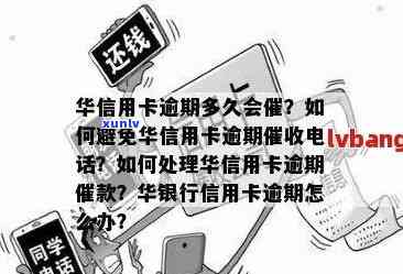 华银行信用卡逾期问题全解析：原因、影响、解决办法一文看懂！