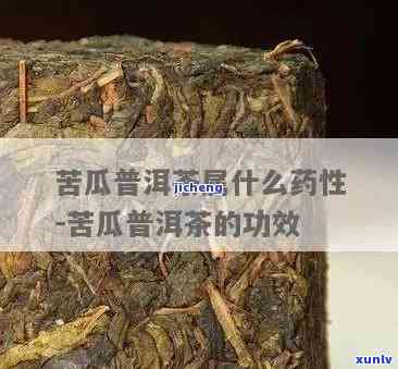 普洱茶与瓜茶：品种、 *** 、功效及口感的全面解析